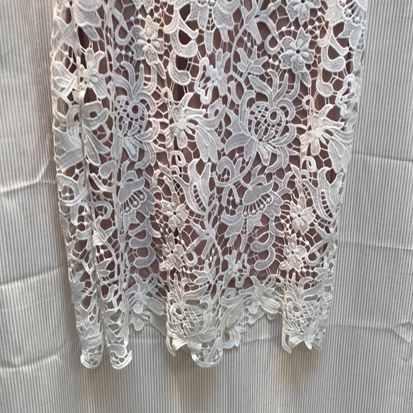 Stunning Lace Sheath Dress - Picture 4 of 7